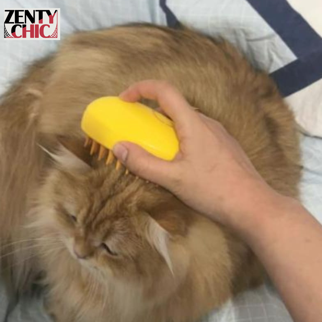 CEPILLO VAPOR PARA MASCOTAS 3 EN 1 FACIL DE UTILIZAR